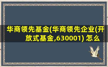 华商领先基金(华商领先企业(开放式基金,630001) 怎么样)